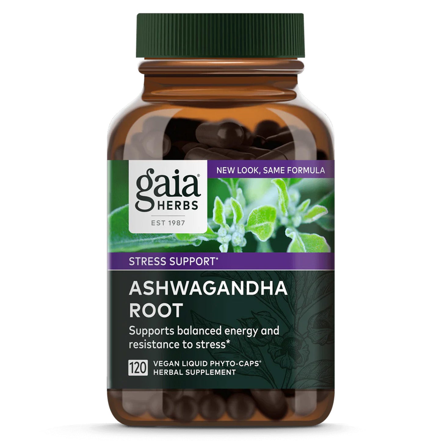 Gaia Herbs Raíz de Ashwagandha: Adaptógeno para el Equilibrio y Bienestar | ProHealth Shop [Panamá]