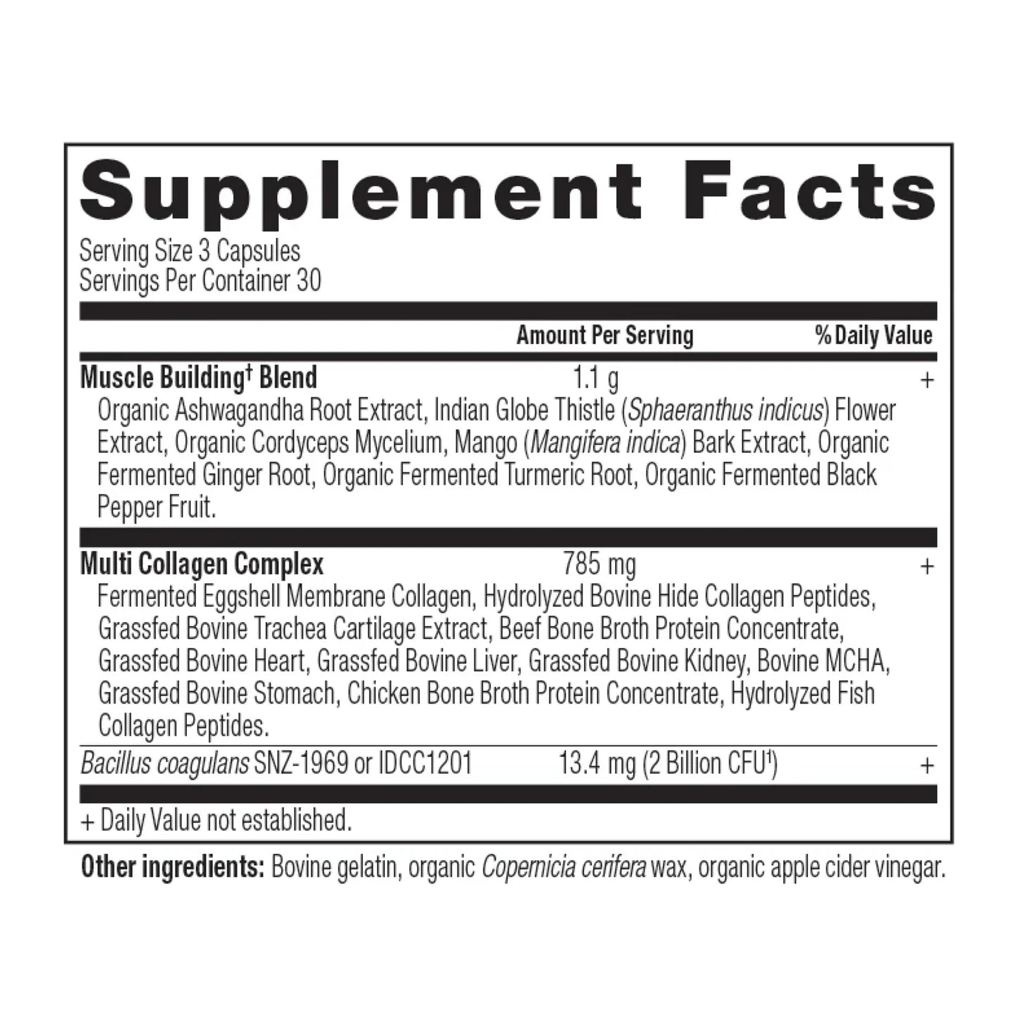 MULTI COLLAGEN ADVANCED MUSCLE