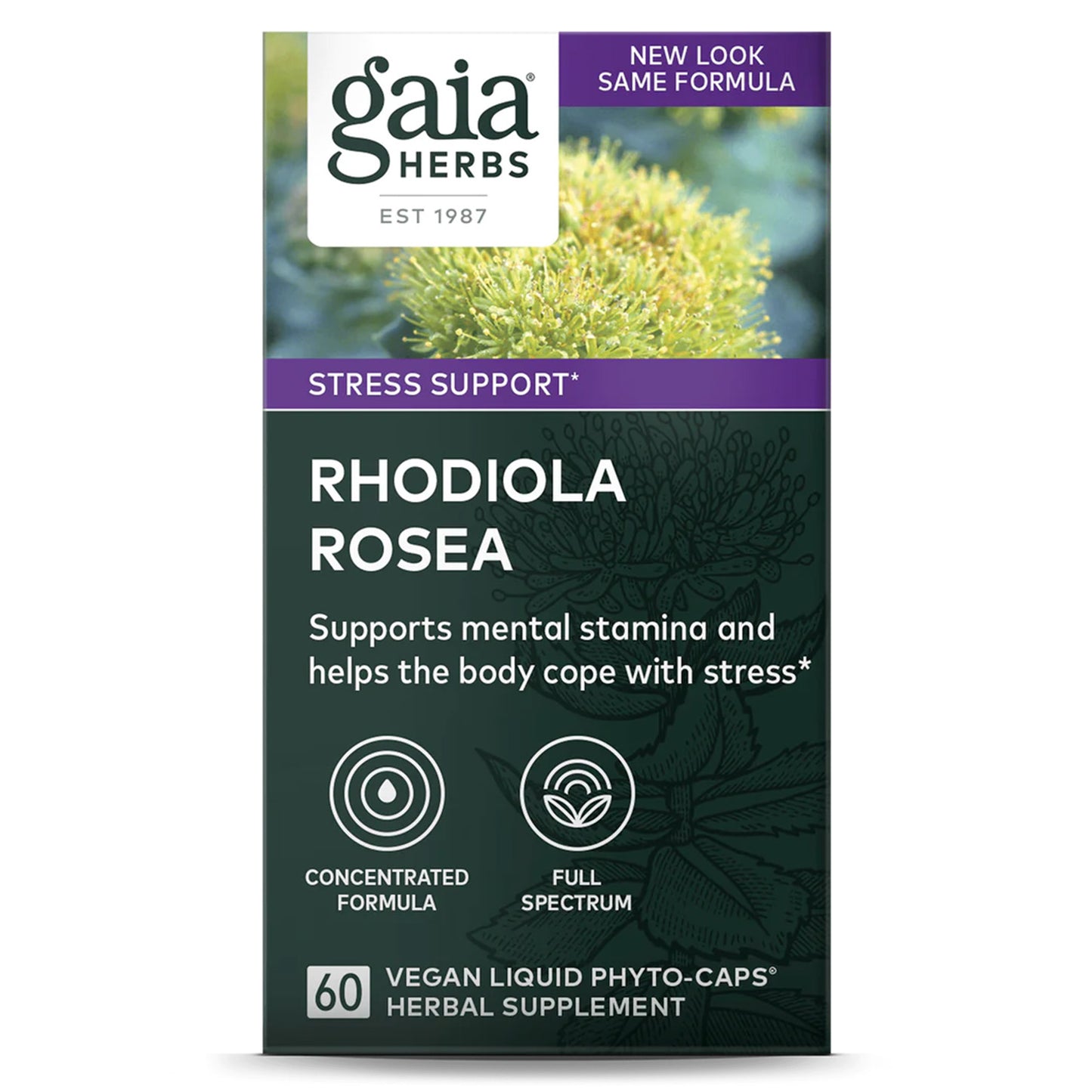 Gaia Herbs Rhodiola Rosea: Energía Natural y Resistencia al Estrés | ProHealth Shop [Panamá]