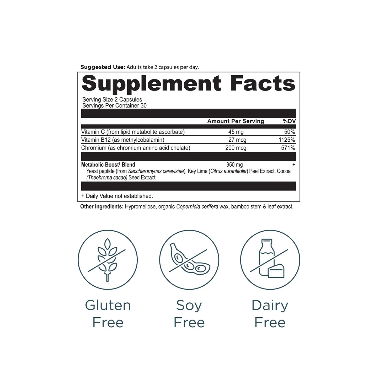 Active Peptides Metabolism