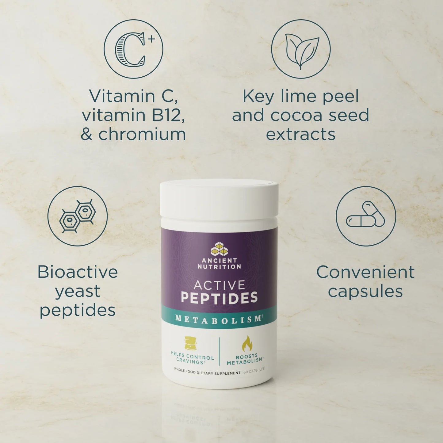 Active Peptides Metabolism